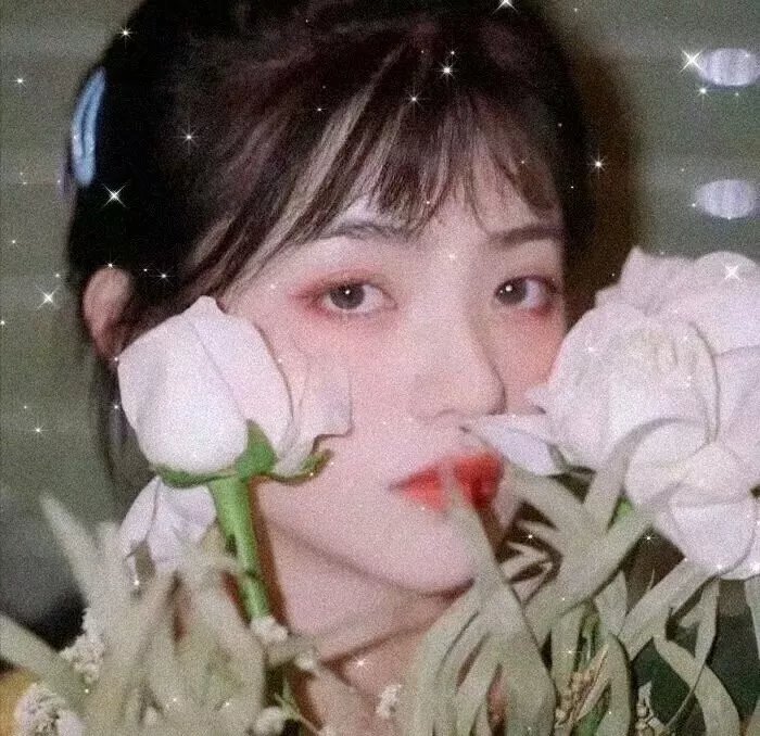 宝莉·莫瑞的一生 在线观看