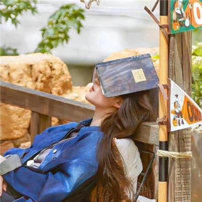 消失的财务 在线观看